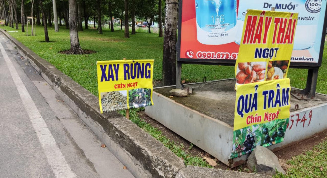 200.000 đồng/kg trâm rừng, muốn mua không dễ - Hình 3 200.000 dong/kg tram rung, muon mua khong de-Hinh-3