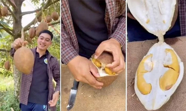 Xuat hien sau rieng la doi chua tung thay, vo tron nhan khong he co gai-Hinh-2