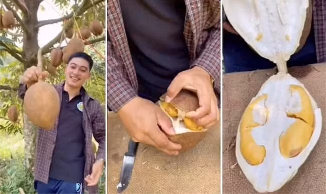 Xuat hien sau rieng la doi chua tung thay, vo tron nhan khong he co gai-Hinh-2