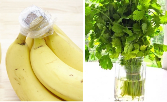 Cách bảo quản các loại rau, củ, quả cho tươi lâu Cach bao quan cac loai rau, cu, qua cho tuoi lau