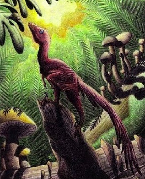 Con Jinfengopteryx elegans đậu trên một khúc gỗ, mắt nhìn mồi một cách thèm khát.