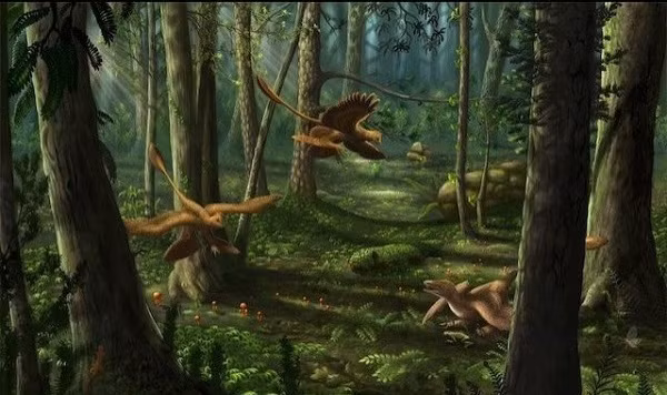 Khủng long bay Microraptor.