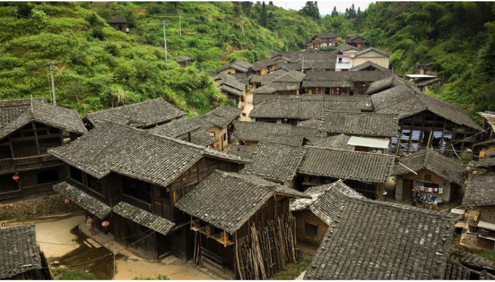 Ngoi lang nhieu cay, co ao tu nhung hang tram nam khong co muoi