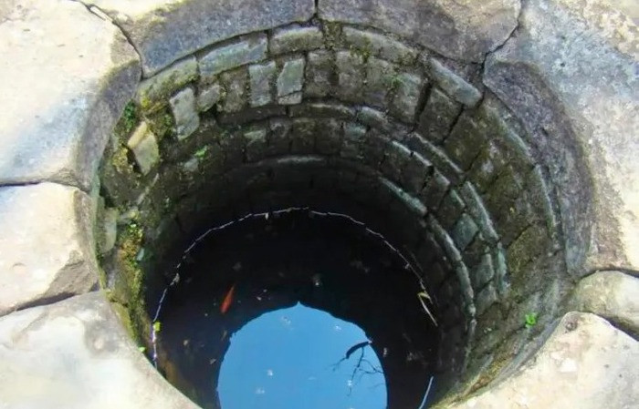 Vi sao ca duoc nuoi trong gieng hay be nuoc mua khong the lon?-Hinh-4