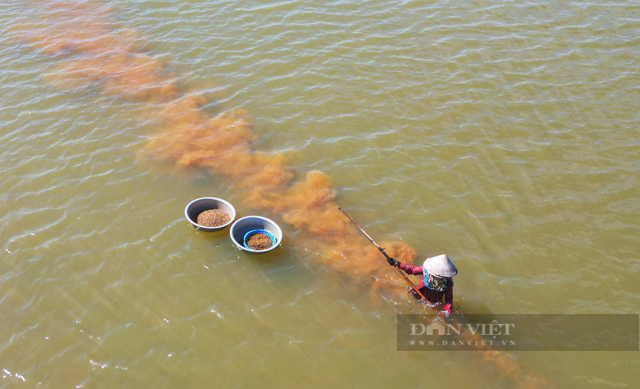 Dac san ten doc la chi co o Quang Ngai vo cung ngon ngot-Hinh-4