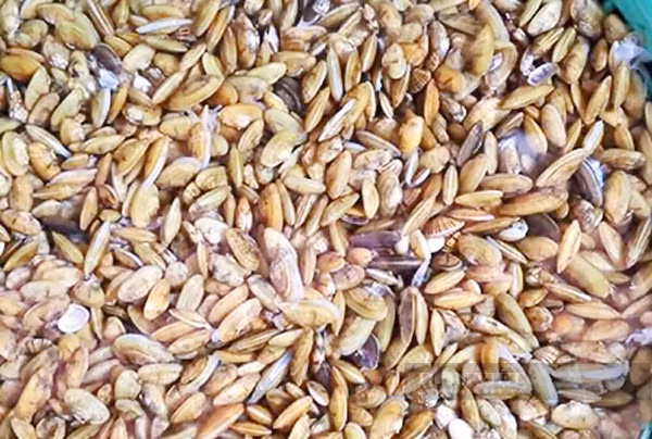 Đặc sản tên độc lạ chỉ có ở Quảng Ngãi vô cùng ngon ngọt - Hình 2 Dac san ten doc la chi co o Quang Ngai vo cung ngon ngot-Hinh-2