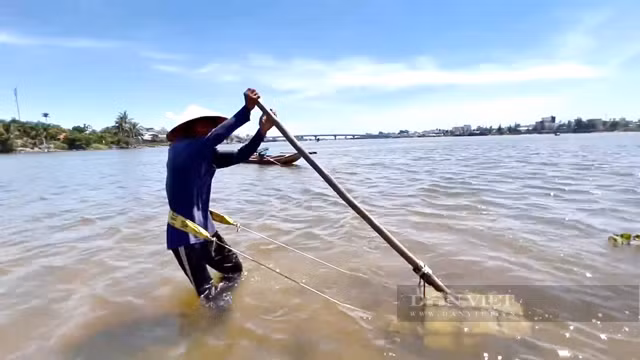 Đặc sản tên độc lạ chỉ có ở Quảng Ngãi vô cùng ngon ngọt - Hình 6 Dac san ten doc la chi co o Quang Ngai vo cung ngon ngot-Hinh-6