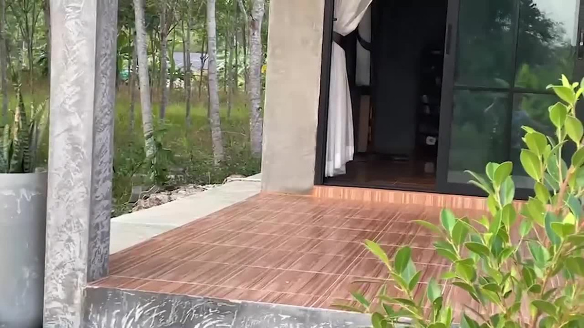 Video: Màn bắt rắn hổ mang chúa "khổng lồ" dài 3,6 mét Video: Man bat ran ho mang chua