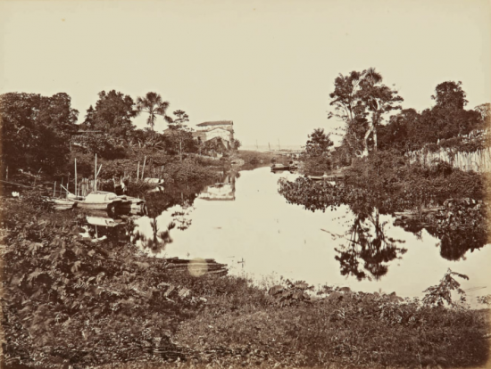 Ảnh hiếm về rừng Amazon thế kỷ XIX - Hình 5 Anh hiem ve rung Amazon the ky XIX-Hinh-5