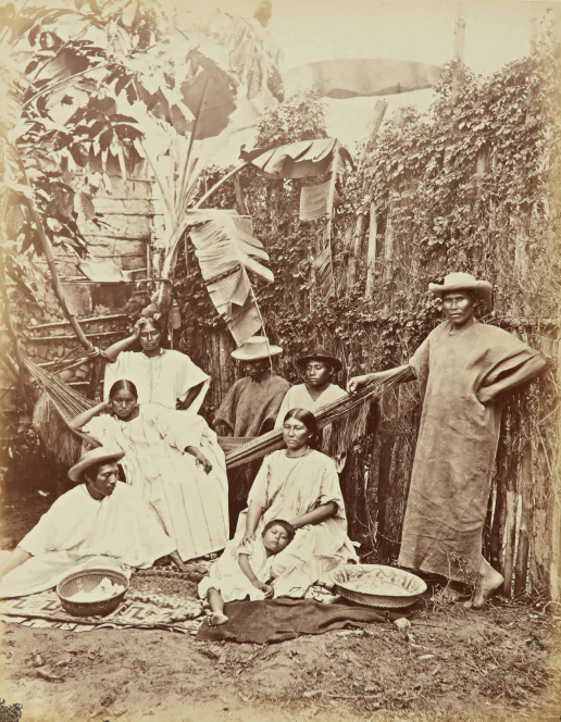 Ảnh hiếm về rừng Amazon thế kỷ XIX - Hình 3 Anh hiem ve rung Amazon the ky XIX-Hinh-3