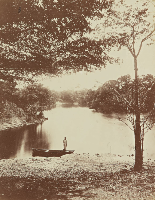 Ảnh hiếm về rừng Amazon thế kỷ XIX - Hình 4 Anh hiem ve rung Amazon the ky XIX-Hinh-4