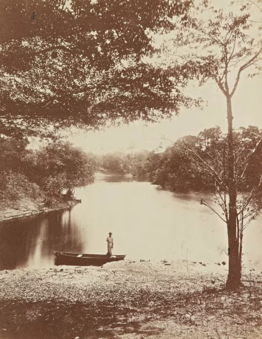 Anh hiem ve rung Amazon the ky XIX-Hinh-4