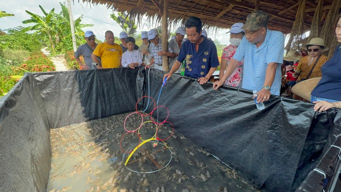 Tuyet dep voi mo hinh xem 