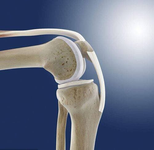 Nguoi gia co the song lau hay khong phu thuoc vao 5 diem nay