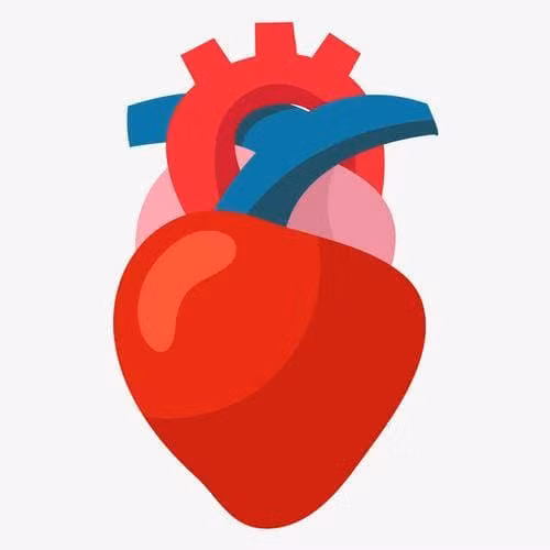 Nguoi gia co the song lau hay khong phu thuoc vao 5 diem nay-Hinh-2