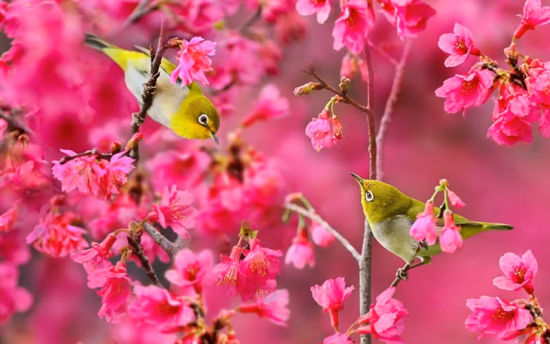 Tu giua thang 2, 3 con giap phat huy tiem nang, thu nhap doi dao