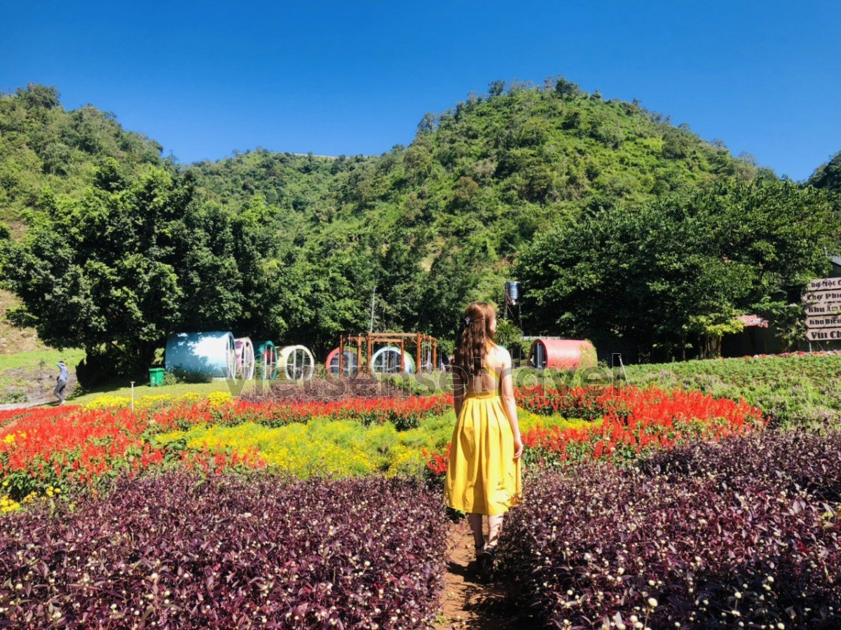 5 diem du lich Moc Chau noi tieng travel blogger goi y