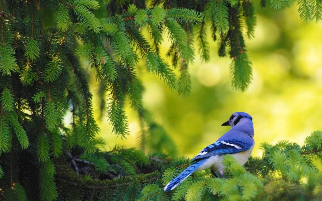 Nguoi sinh thang Am lich nay quy nhan luon vay quanh-Hinh-3