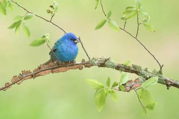 Nguoi sinh thang Am lich nay quy nhan luon vay quanh-Hinh-2
