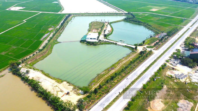 Nuoi trai lay ngoc, ngay lan dau da trung hang tram trieu dong/nam
