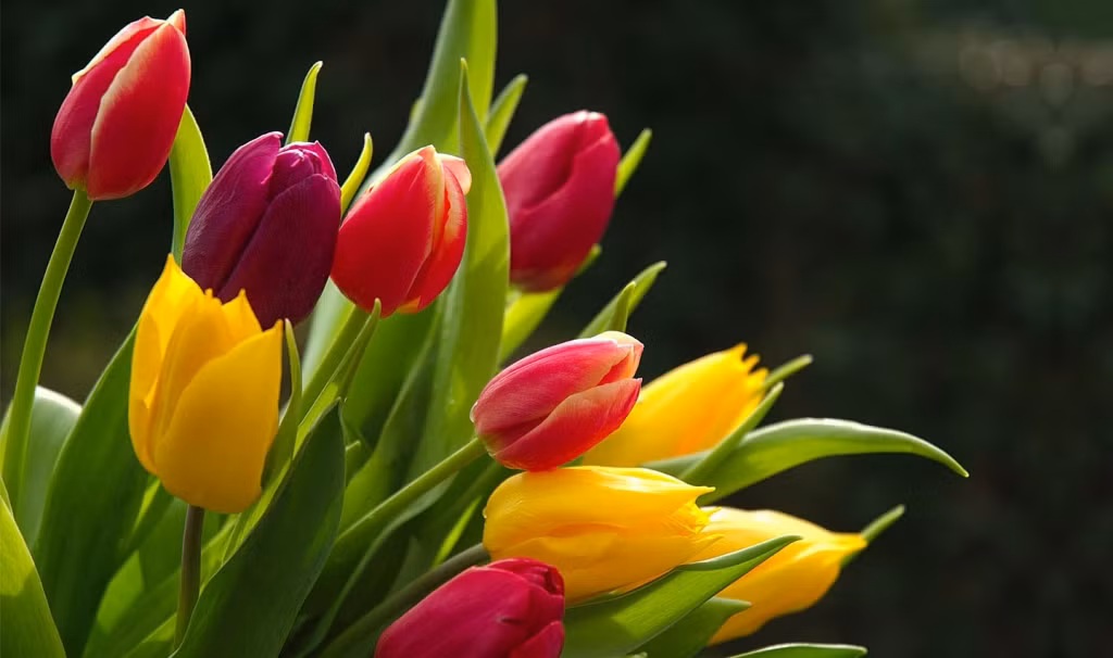 Người sinh vào 5 ngày Âm lịch này tài năng lại can đảm - Hình 3 Nguoi sinh vao 5 ngay Am lich nay tai nang lai can dam-Hinh-3