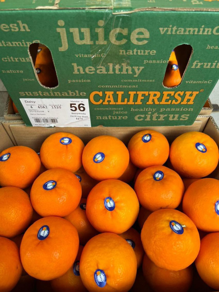 Su that ve quyt Uc sieu ngot, gia chi 40.000 dong/kg-Hinh-2