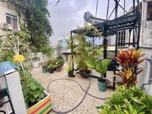 Khoảng sân thượng trồng rất nhiều loại cây, hoa.