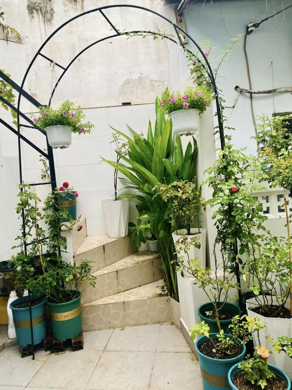 Phần xéo được để lại làm khoảng không gian trồng cây.