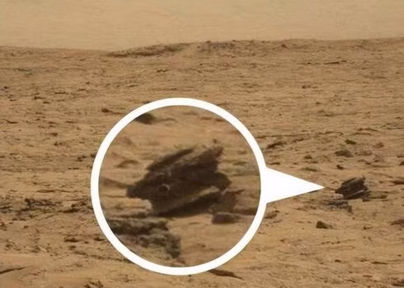 Kham pha sao Hoa, phat hien 