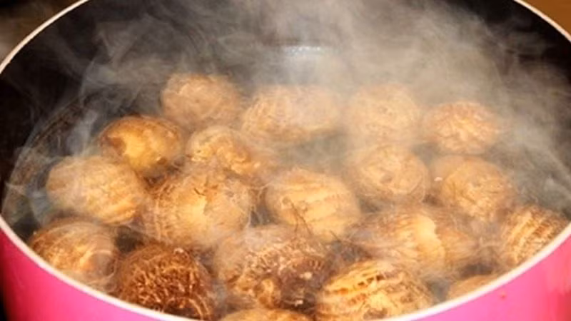 Meo got khoai so khong bi ngua cuc huu ich