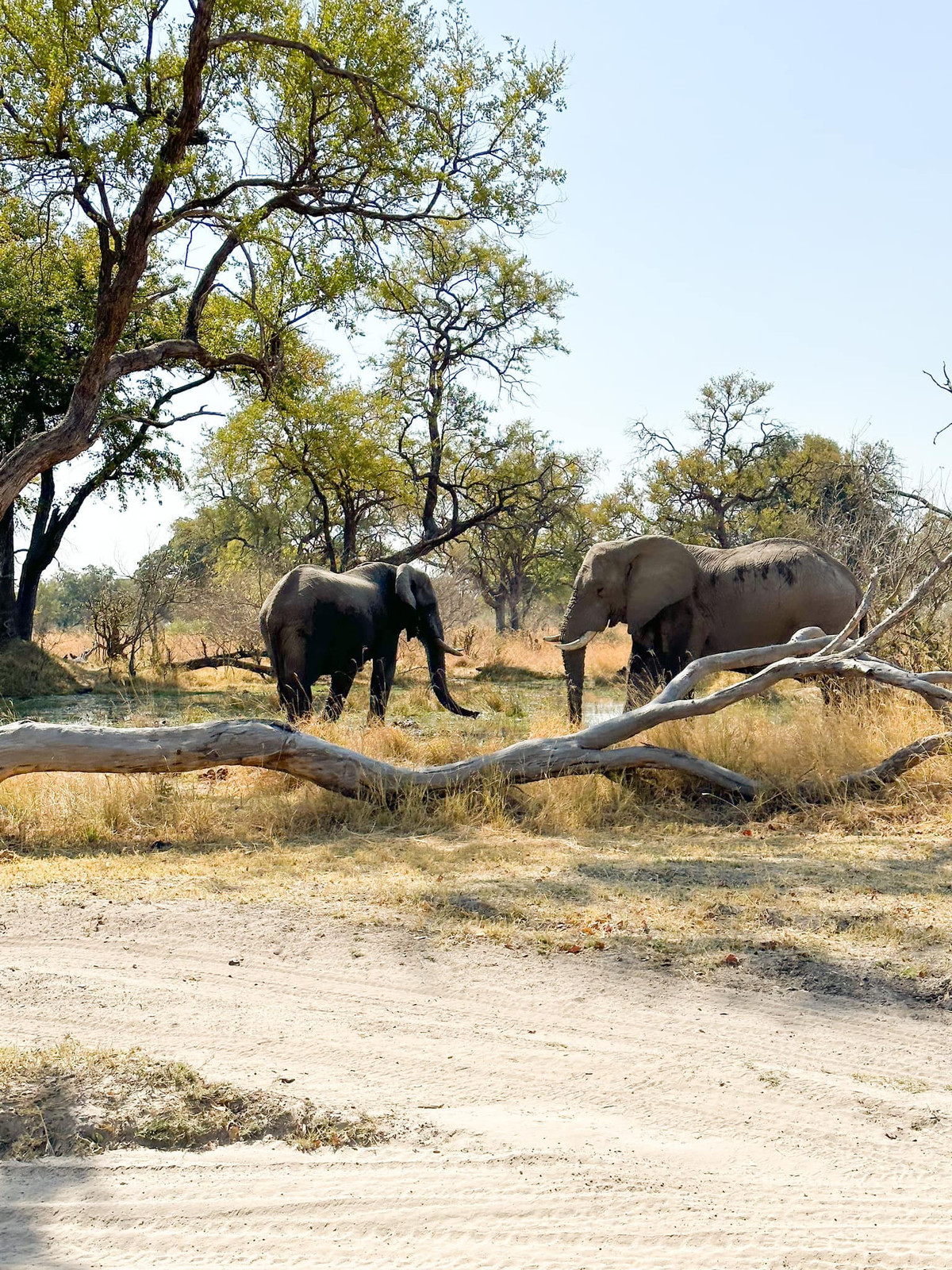 Doi ban chi 700 trieu di chau Phi “hit bui”, den noi ngheo nhat-Hinh-3