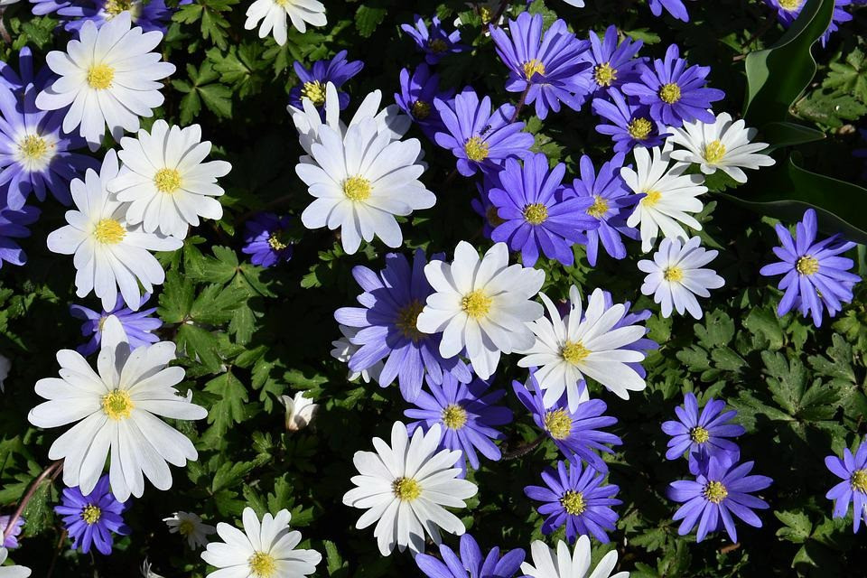 Cuối tháng 2, 4 con giáp đón may mắn, kiếm bộn tiền Cuoi thang 2, 4 con giap don may man, kiem bon tien