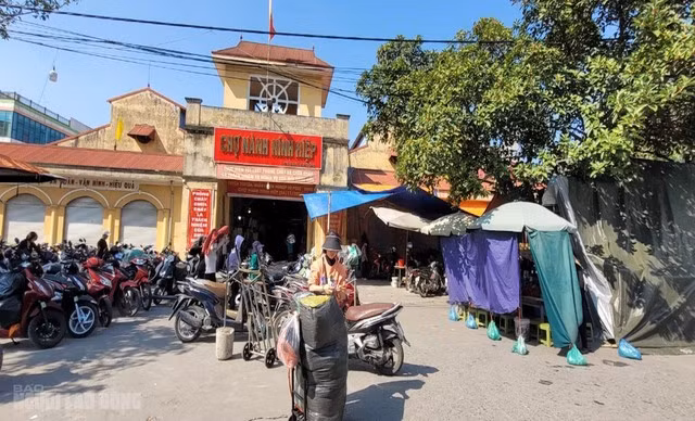 Cho vai Ninh Hiep e am, tieu thuong tinh bo nghe