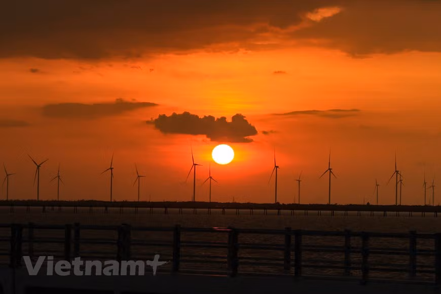 Nếu có thời gian ở lại lâu hơn, bạn nên tản bộ trên những cây cầu theo hướng ra biển để ngắm nhìn thật gần những cây chong chóng gió. (Ảnh: Hoài Nam/Vietnam+)