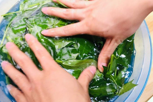 Lá này canxi gấp 2 lần sữa, nấu canh rất ngon - Hình 3 La nay canxi gap 2 lan sua, nau canh rat ngon-Hinh-3