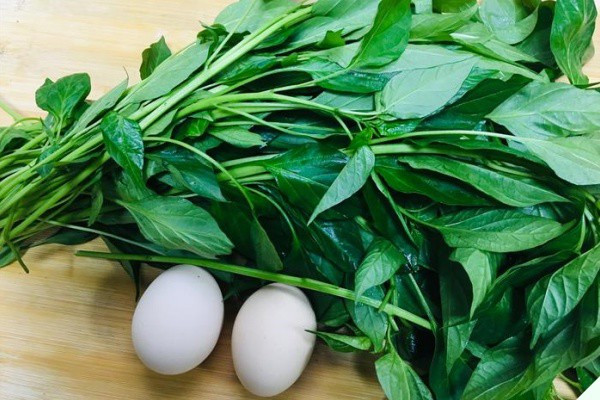 Lá này canxi gấp 2 lần sữa, nấu canh rất ngon - Hình 2 La nay canxi gap 2 lan sua, nau canh rat ngon-Hinh-2