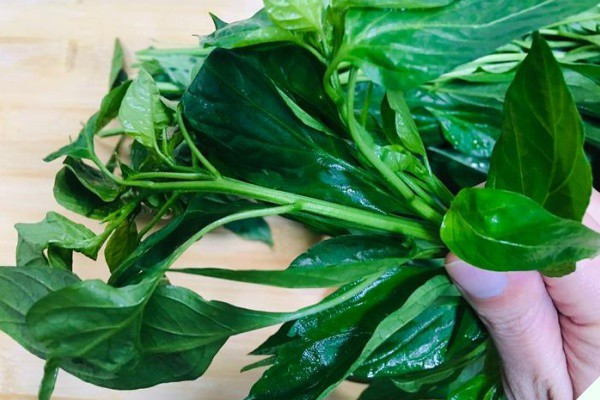 Lá này canxi gấp 2 lần sữa, nấu canh rất ngon La nay canxi gap 2 lan sua, nau canh rat ngon