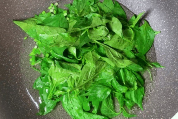 Lá này canxi gấp 2 lần sữa, nấu canh rất ngon - Hình 5 La nay canxi gap 2 lan sua, nau canh rat ngon-Hinh-5