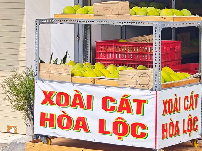 Xoai cat Hoa Loc gia re chua tung co-Hinh-4