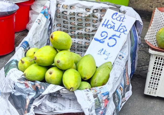Xoai cat Hoa Loc gia re chua tung co