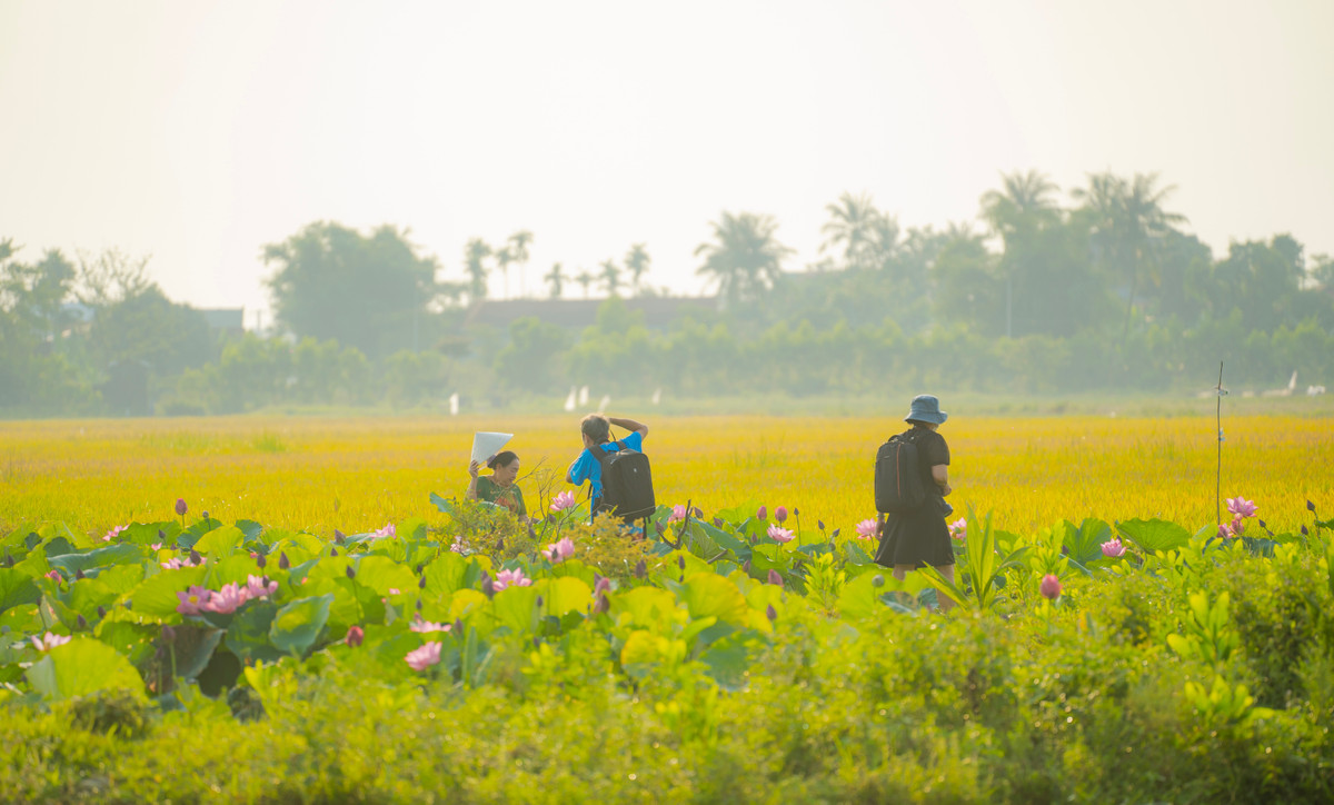 Diem den trong nuoc ngap sac hoa dip he-Hinh-4