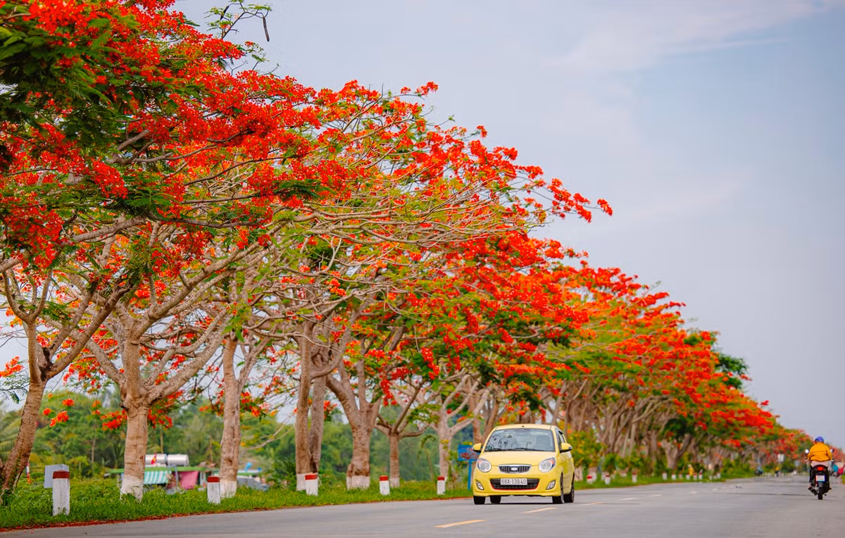 Diem den trong nuoc ngap sac hoa dip he-Hinh-15