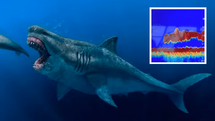 Dieu gi xay ra neu ca map Megalodon chien dau voi tran Titanoboa?