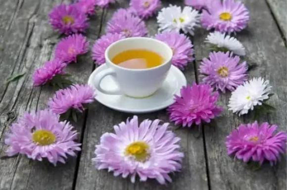 Trong cuoc doi nay co nam loai “mon no” khong the no-Hinh-2