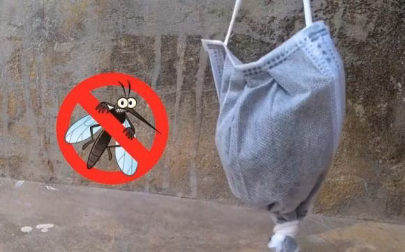 Cach lam tui duoi muoi treo cua so hieu qua ma khong doc hai