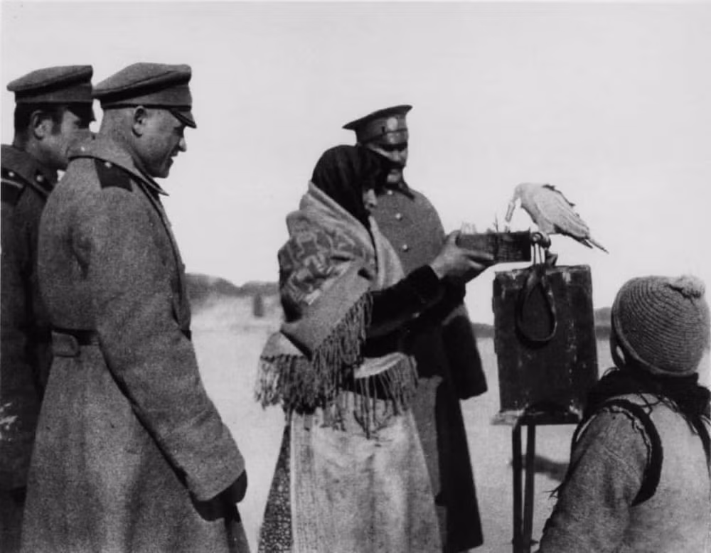 Năm 1972, quân đội Mỹ nhận được thông tin rằng Liên Xô đang đầu tư hàng triệu USD vào những thí nghiệm ngoại cảm và điều khiển đồ vật bằng suy nghĩ. Không muốn bị bỏ lại phía sau, họ khởi động Dự án Star Gate.