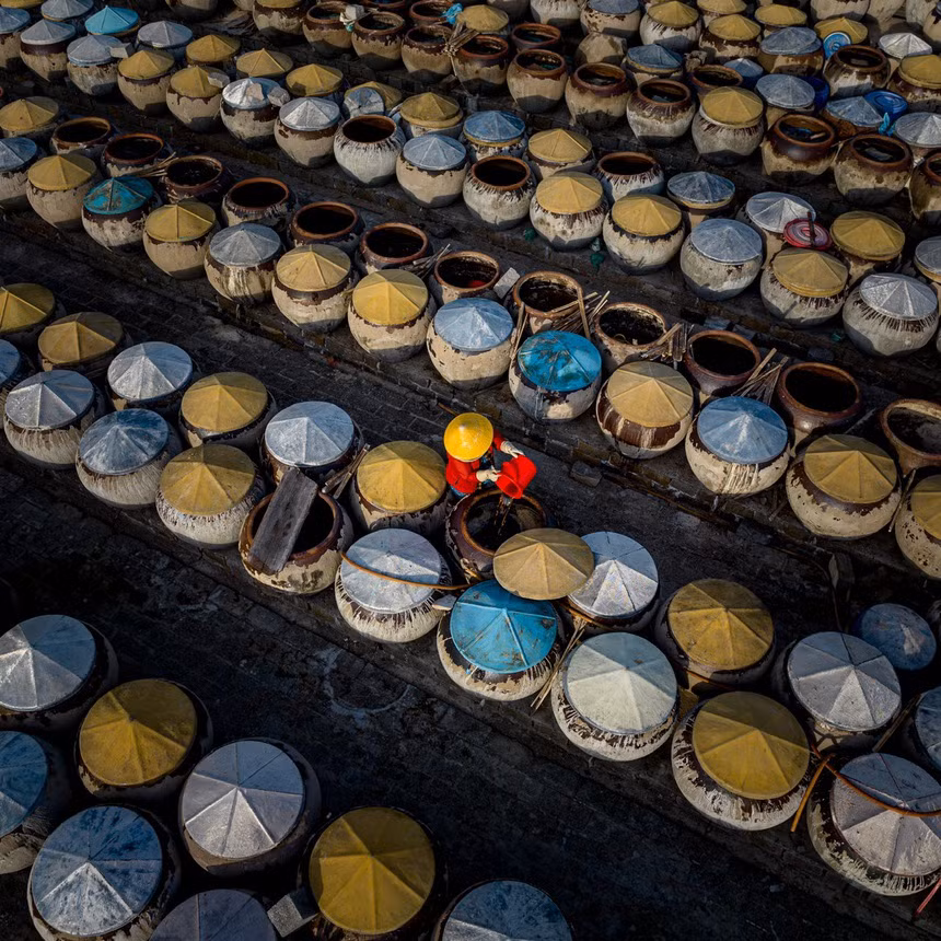 Cá cơm là nguyên liệu quan trọng làm nên thương hiệu nước mắm truyền thống Phan Thiết.