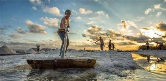 Nuoc bien nhieu muoi, dong vat bien uong nuoc ngot bang cach nao?