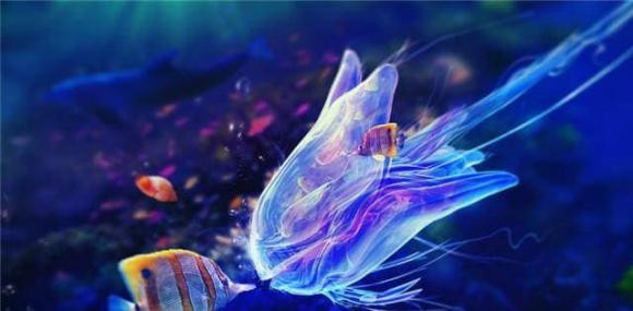 Nuoc bien nhieu muoi, dong vat bien uong nuoc ngot bang cach nao?-Hinh-3