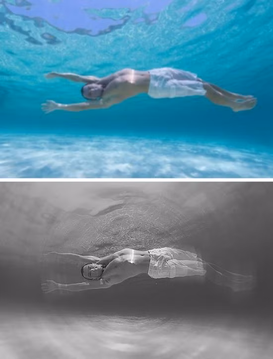 The gioi trong nhu the nao qua mat cac loai dong vat-Hinh-6